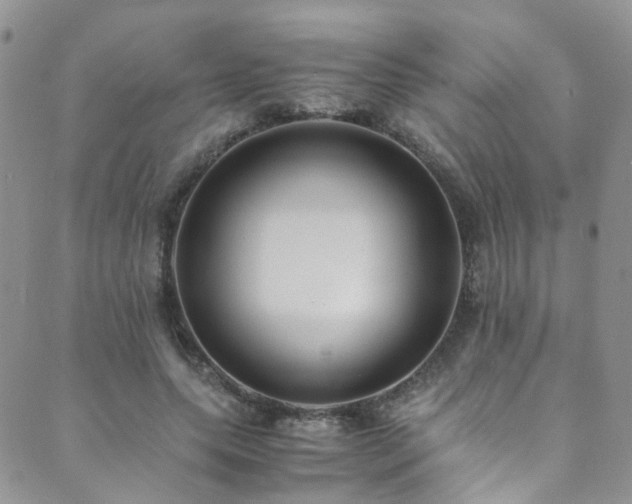 X0000089670639200706211155