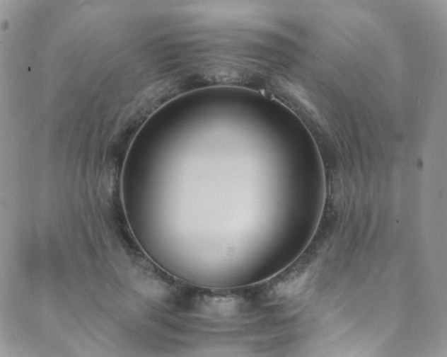 X0000089670645200706211155