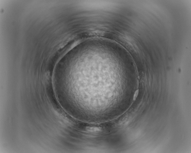 X0000089670649200706211155