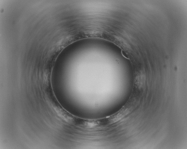 X0000089670662200706211155