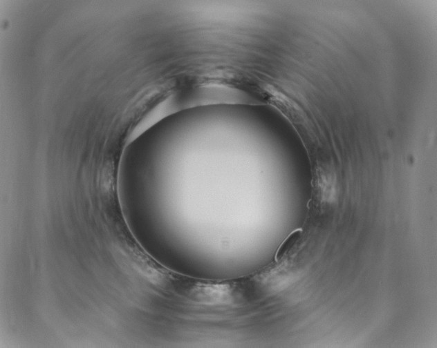 X0000089670665200706211155