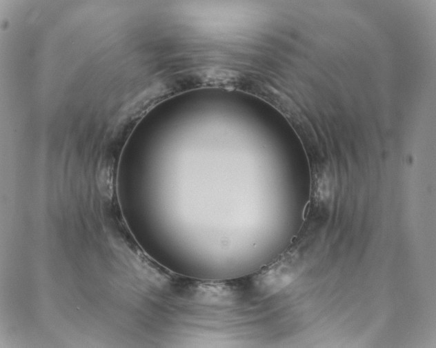 X0000089670666200706211155