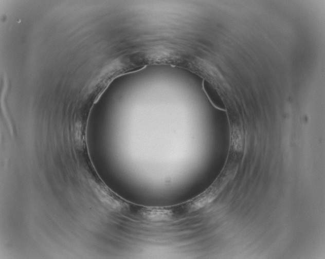 X0000089670670200706211155