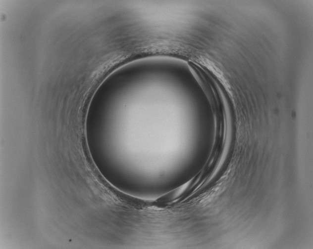 X0000089670673200706211155
