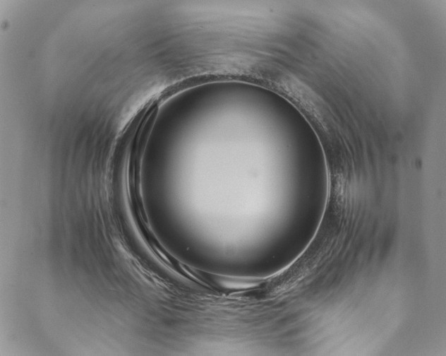 X0000089670676200706211155