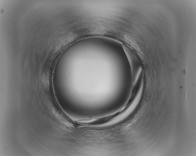 X0000089670681200706211154