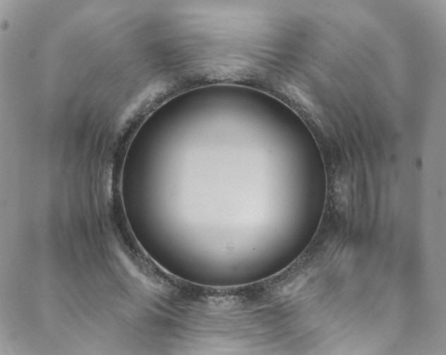 X0000089670686200706211154