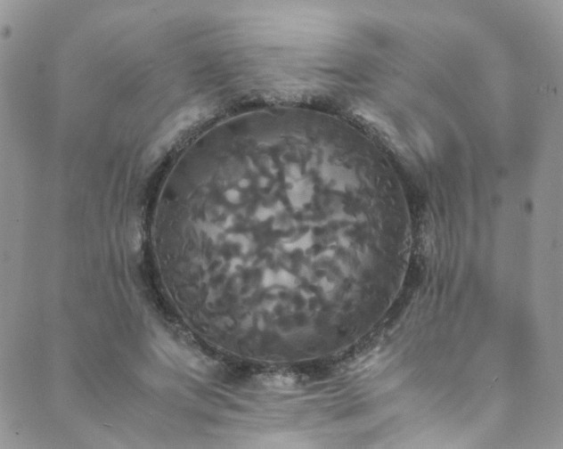 X0000089670687200706211154