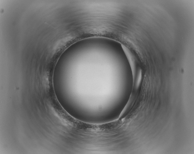 X0000089670688200706211154
