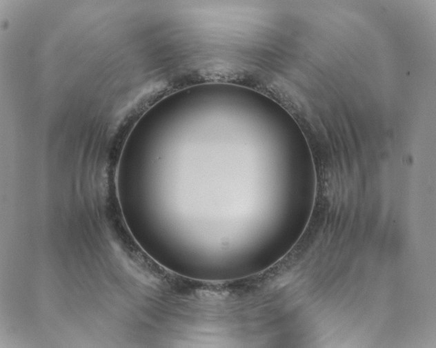 X0000089670690200706211154