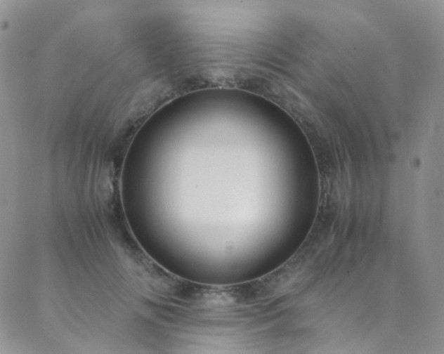 X0000089670702200706211154