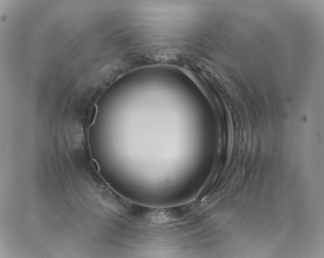 X0000089670704200706211154