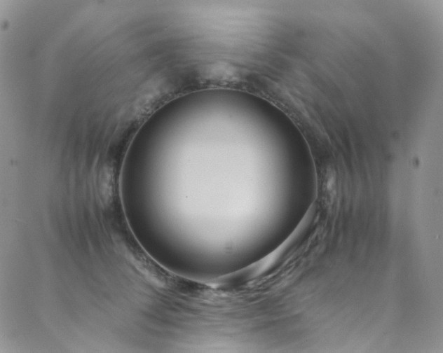 X0000089670708200706211154