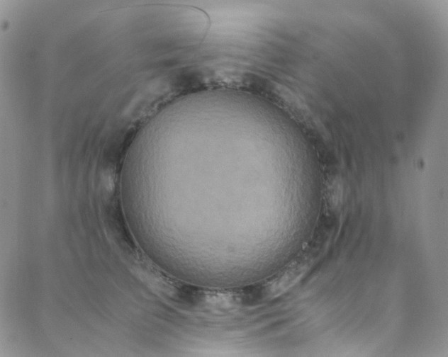 X0000089670709200706211154