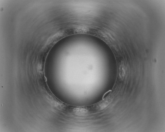 X0000089670714200706211154