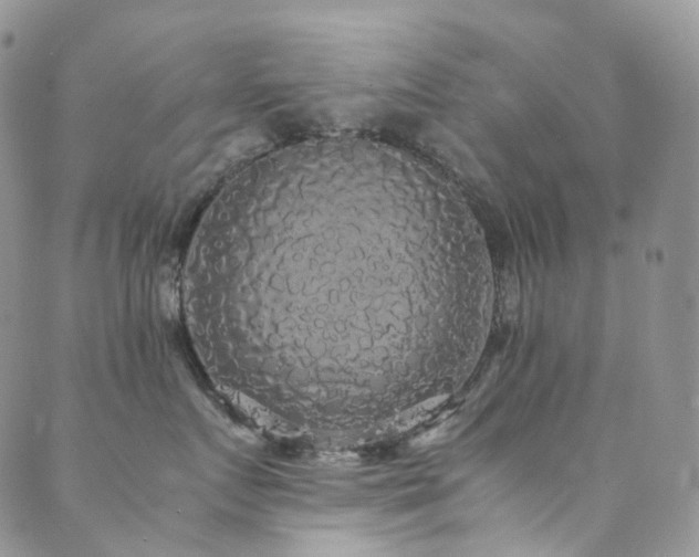 X0000089670719200706211154