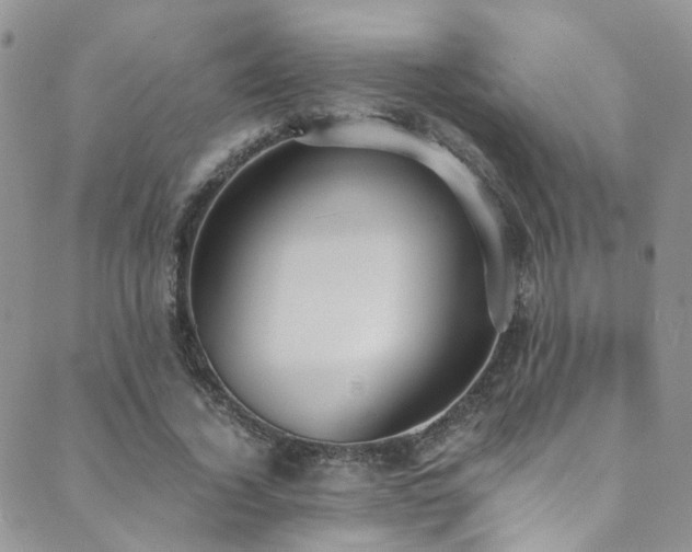 X0000089670732200706211153