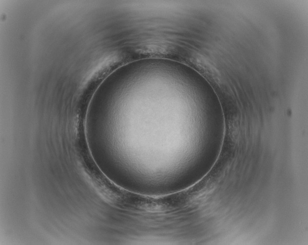 X0000089670735200706211153