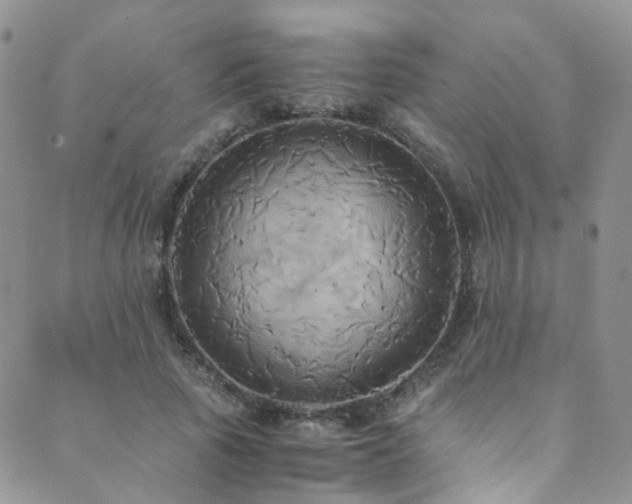 X0000089670737200706211153