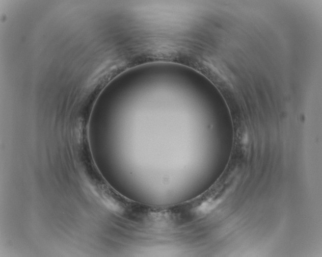 X0000089670744200706211153