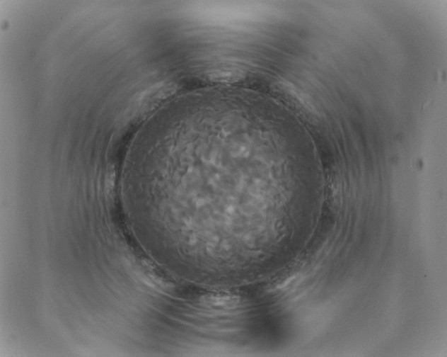 X0000089670745200706211153