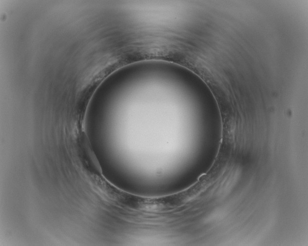 X0000089670746200706211153