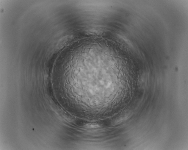 X0000089670749200706211153