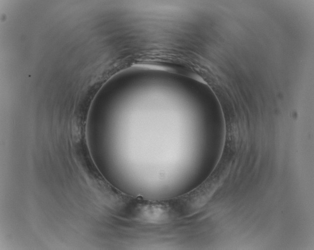 X0000089670751200706211154