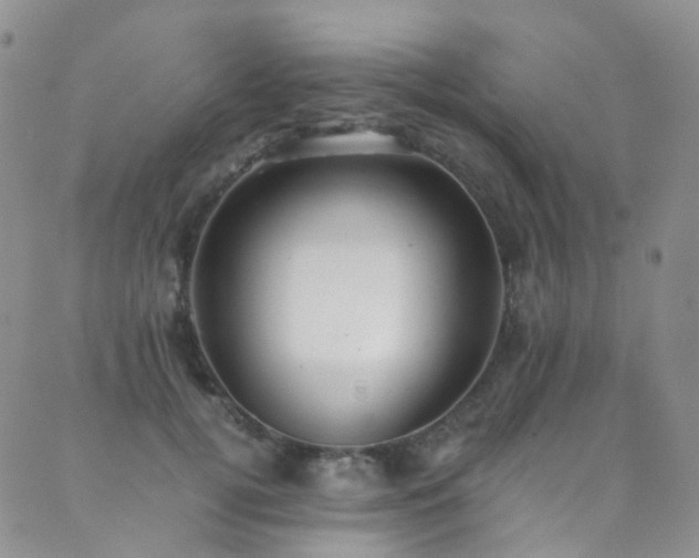X0000089670752200706211154
