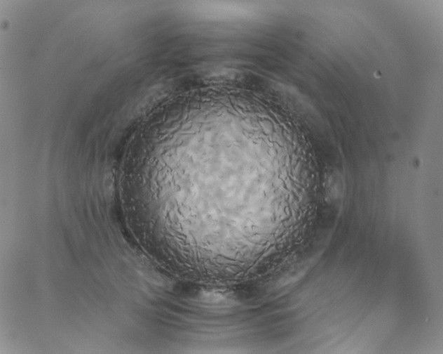 X0000089670753200706211154