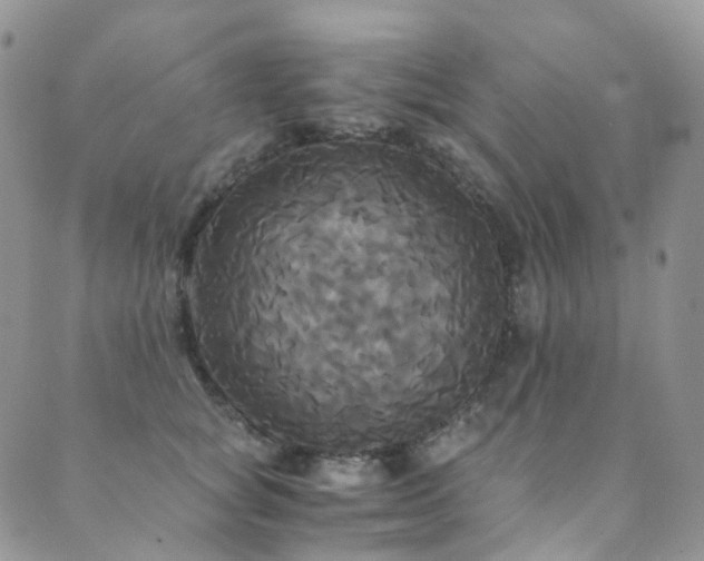 X0000089670757200706211154