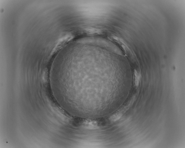 X0000089670760200706211154