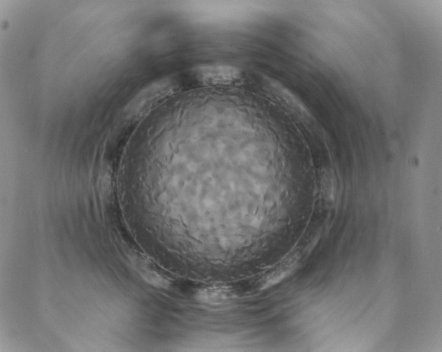 X0000089670761200706211154