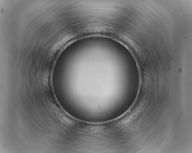 X0000089670778200706211153