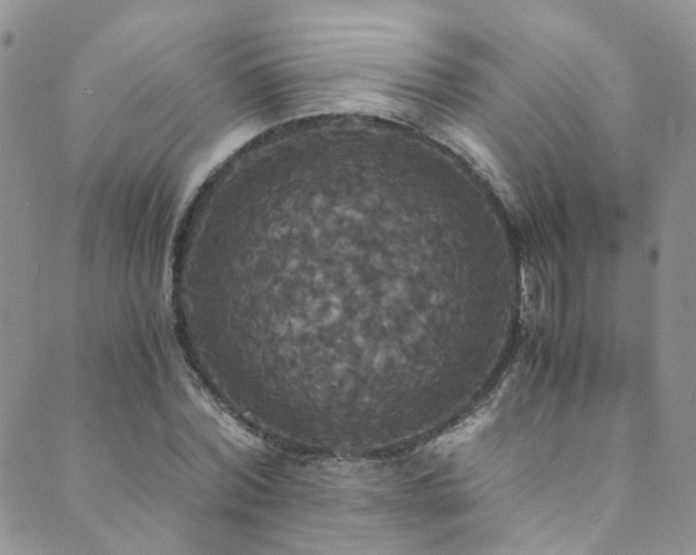 X0000089670780200706211153