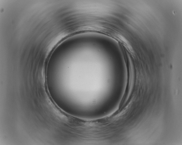 X0000089670796200706211153
