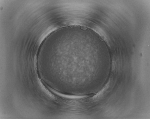 X0000089670798200706211153
