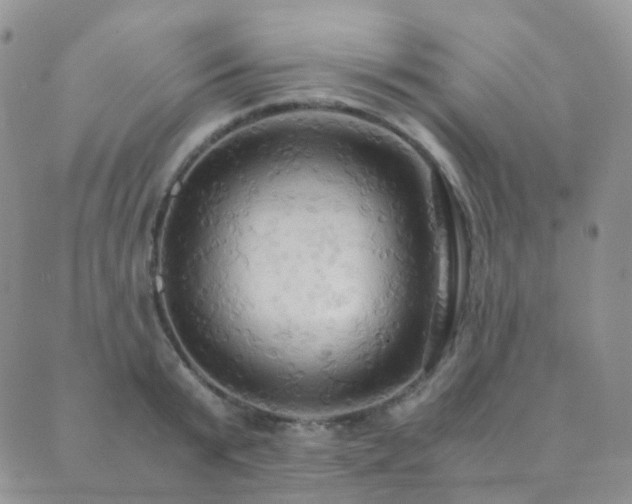 X0000089670799200706211153