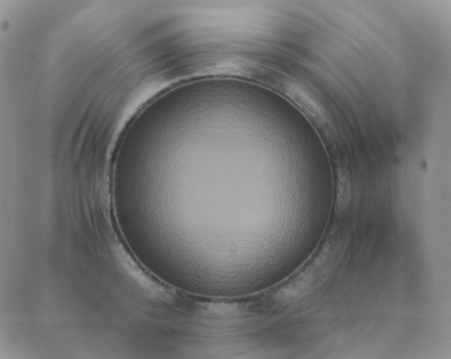 X0000089670800200706211153