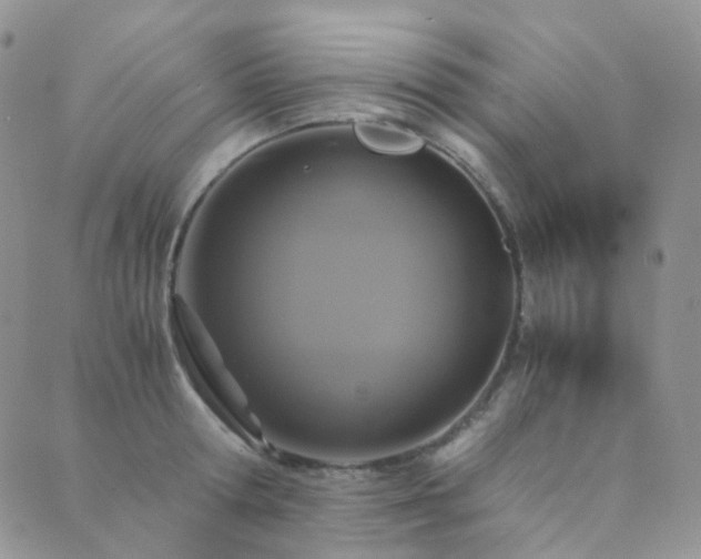 X0000089670802200706211152