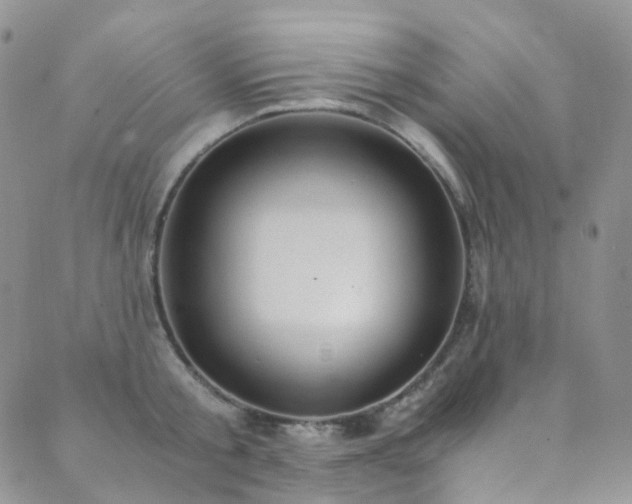 X0000089670805200706211152