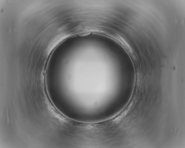 X0000089670814200706211152