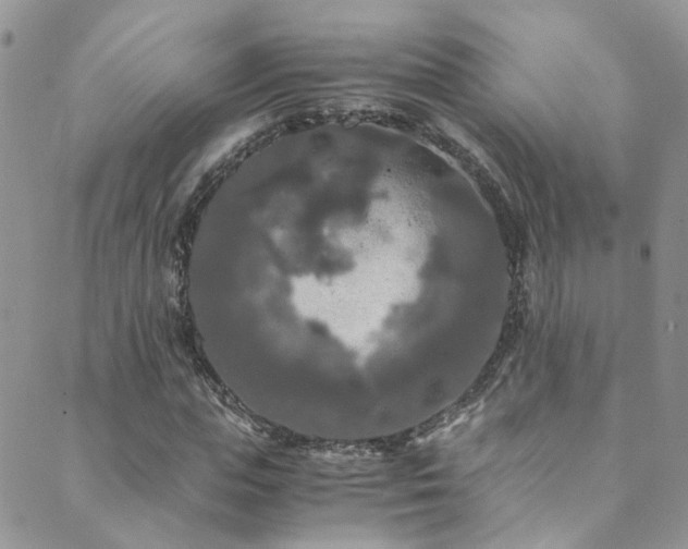 X0000089670823200706211152