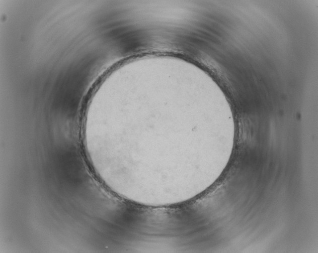 X0000089670828200706211152
