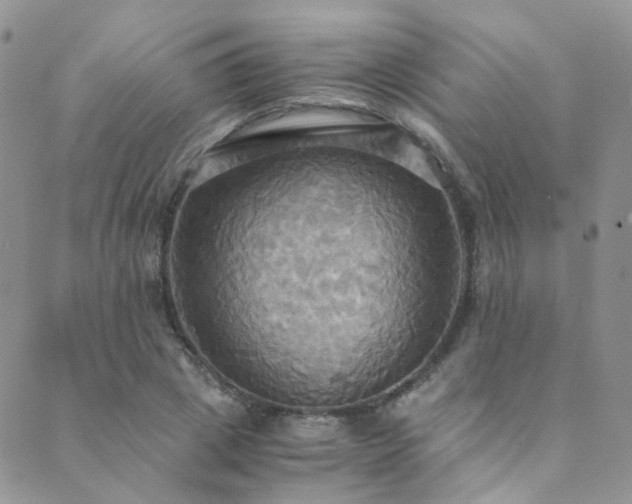 X0000089670833200706211152