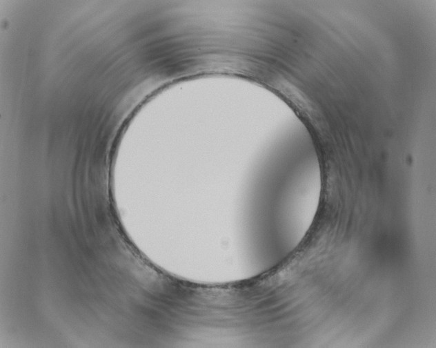 X0000089670836200706211152