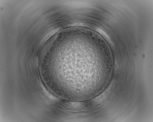 X0000089670849200706211152