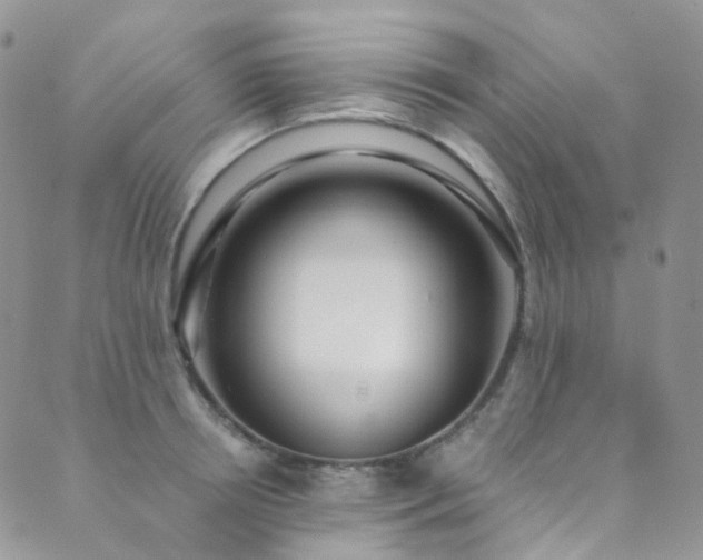 X0000089670850200706211152