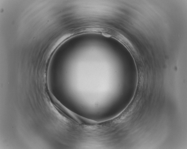 X0000089670852200706211152