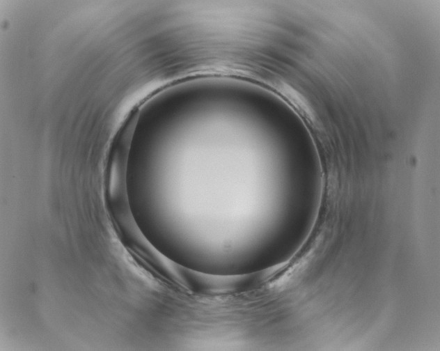 X0000089670854200706211152
